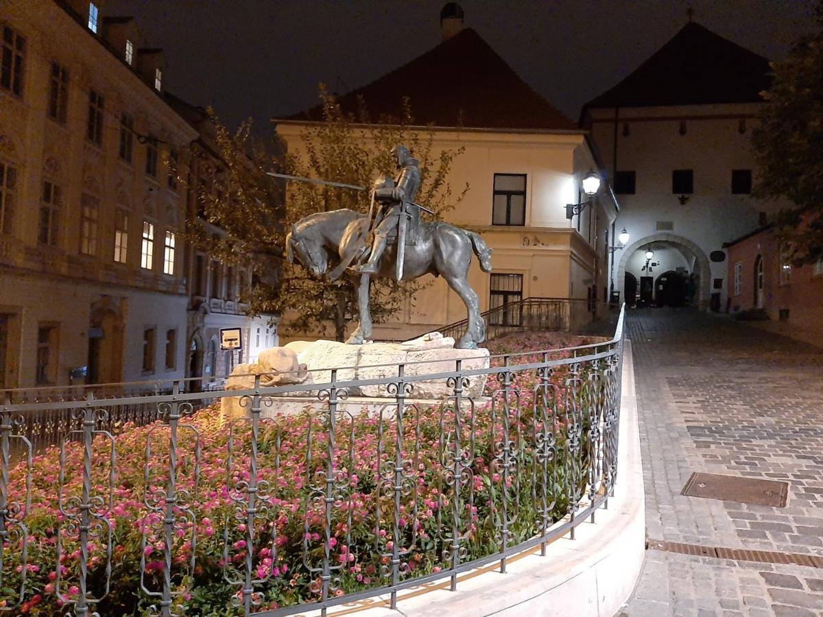 Apartment Azalea Zagrzeb Zewnętrze zdjęcie